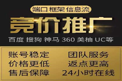 SEM主管实战：案例分析与优化策略